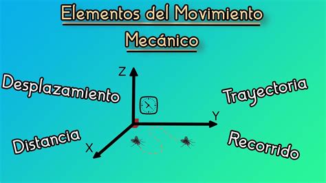 componentes del movimiento.